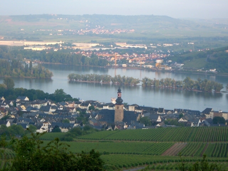 Rhine River and Valley