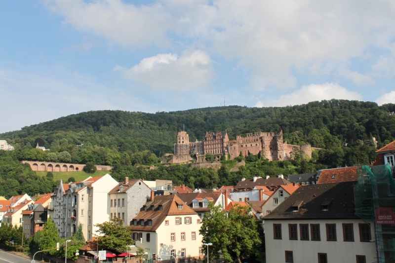 Neckar Valley and Heidelberg Castle