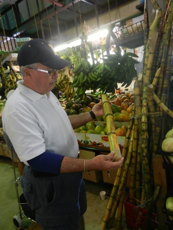 Sugar Cane at a Market in San Juan
